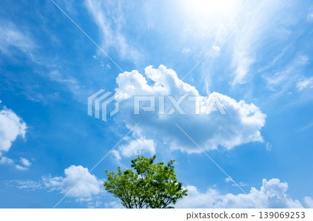 Springtime blue sky, clouds, and fresh green leaves Springtime blue sky, clouds, and fresh green leaves 139069253