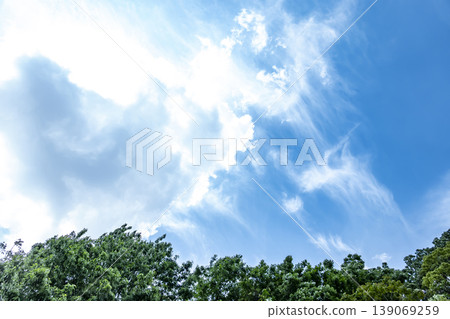 春日藍天,白雲朵朵,綠葉蔥蘢。 春日藍天,白雲朵朵,綠葉蔥蘢。 139069259