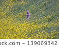 wl 139069342