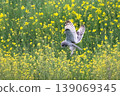 wl 139069345