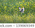 wl 139069349