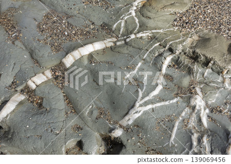 Rock formation with white quartz veins texture 139069456
