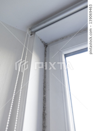 Upper corner near plastic window covered with black mold, vertical format 139069463