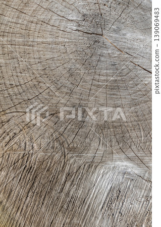 Felled tree stump with uneven textured wood surface and visible tree rings and cracks, vertical format Felled tree stump with uneven textured wood surface and visible tree rings and cracks, vertical format 139069483