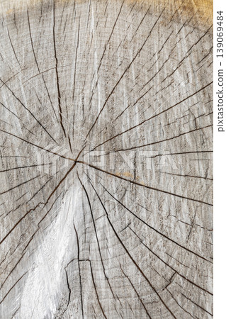 Natural wood cut texture with visible tree rings and cracks, vertical format Natural wood cut texture with visible tree rings and cracks, vertical format 139069484