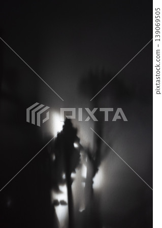 Flower shadows on white wall vertical background Flower shadows on white wall vertical background 139069505