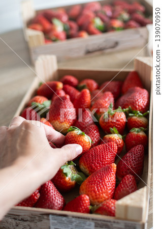 Hands selecting fresh strawberries in wooden crates on table Hands selecting fresh strawberries in wooden crates on table 139070950
