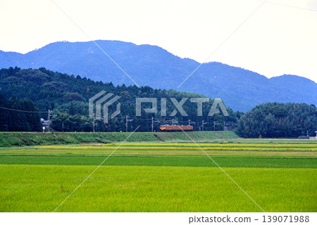 2007年：當地火車路線的景象 139071988