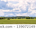 Wide-angle landscape featuring vast green meadow under dramatic sky filled with large, fluffy white cumulus clouds. Dense forest line sits on the horizon, creating peaceful and serene rural scene. 139072149