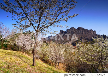 The beginning of spring on Mount Myogi The beginning of spring on Mount Myogi 139072424