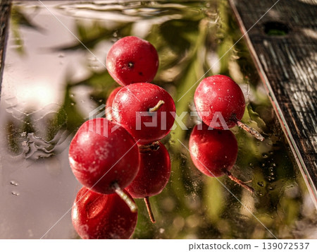 Ripe hawthorn berries and elegant herbs on a tinted mirror. Minimalist still life with deep reflections, scarlet fruit and botanical silhouettes. Sophisticated macro with optical depth and mood Ripe hawthorn berries and elegant herbs on a tinted mirror. Minimalist still life with deep reflections, scarlet fruit and botanical silhouettes. Sophisticated macro with optical depth and mood 139072537