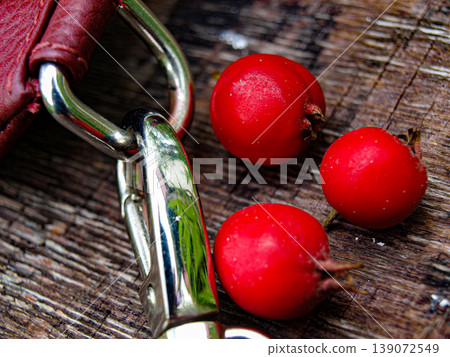 Still life with three ripe hawthorn berries and a metal surface. Macro shot featuring the contrast between organic scarlet fruit and industrial cold steel. Minimalist composition with shadows. Still life with three ripe hawthorn berries and a metal surface. Macro shot featuring the contrast between organic scarlet fruit and industrial cold steel. Minimalist composition with shadows. 139072549