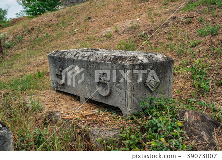 Ancient stone sarcophagus with weathered carvings resting on a grassy slope at an outdoor archaeological site Ancient stone sarcophagus with weathered carvings resting on a grassy slope at an outdoor archaeological site 139073007