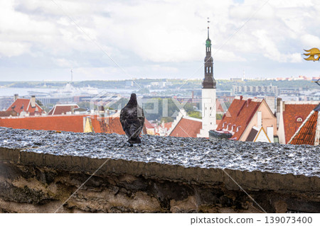 Pigeon perched on a rooftop with a blurred cityscape and panoramic view of Tallinn, Estonia, old town with red roofs, churches, and Baltic sea in the distance. Historic architecture and urban Pigeon perched on a rooftop with a blurred cityscape and panoramic view of Tallinn, Estonia, old town with red roofs, churches, and Baltic sea in the distance. Historic architecture and urban 139073400