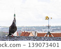 Pigeon perched on a rooftop with a blurred cityscape and panoramic view of Tallinn, Estonia, old town with red roofs, churches, and Baltic sea in the distance. Historic architecture and urban 139073401