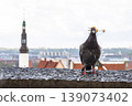 Pigeon perched on a rooftop with a blurred cityscape and panoramic view of Tallinn, Estonia, old town with red roofs, churches, and Baltic sea in the distance. Historic architecture and urban 139073402