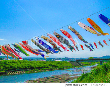Carp streamers swimming in the sky (Hiratsuka City Suzukawa Carp Streamer Festival) Carp streamers swimming in the sky (Hiratsuka City Suzukawa Carp Streamer Festival) 139073519