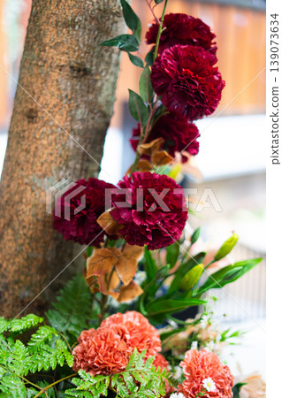 Red and Pink Roses Decoration on Tree Trunk for Wedding Setup Red and Pink Roses Decoration on Tree Trunk for Wedding Setup 139073634
