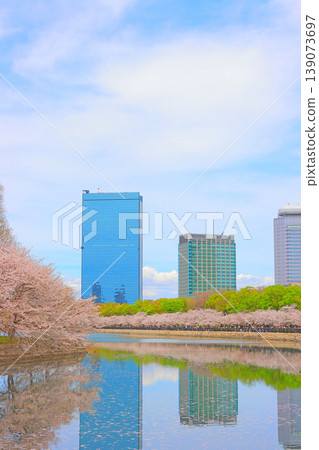 Osaka City, Osaka Prefecture: Cherry blossoms in full bloom and the scenery of the outer moat of Osaka Castle. Osaka City, Osaka Prefecture: Cherry blossoms in full bloom and the scenery of the outer moat of Osaka Castle. 139073697