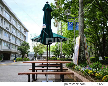 University benches with parasols 139074225