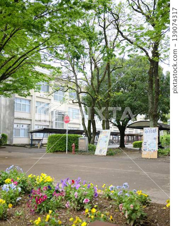 高知縣高知市高知大學,晴天的國立大學法人 高知縣高知市高知大學,晴天的國立大學法人 139074317