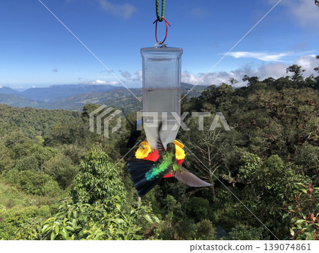 Hummingbirds of Costa Rica 139074861