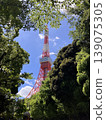陽光透過樹木和東京塔灑下；從綠蔭隧道中看到的夏日天空。 139075305