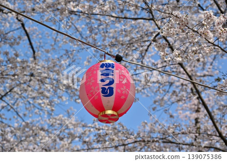 山梨縣桃花春季慶典 山梨縣桃花春季慶典 139075386