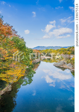 Sakurabuchi Park in Shinshiro City (Aichi Prefecture) Sakurabuchi Park in Shinshiro City (Aichi Prefecture) 139075514