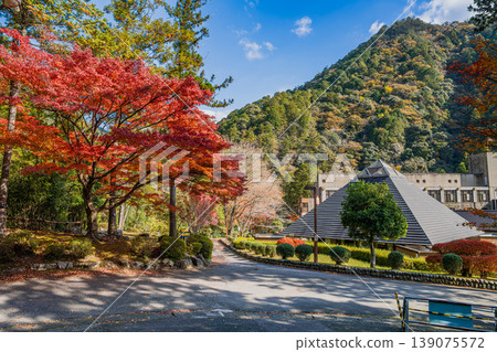 Scenery of Aichi Prefectural Forest in Shinshiro City (Aichi Prefecture) Scenery of Aichi Prefectural Forest in Shinshiro City (Aichi Prefecture) 139075572