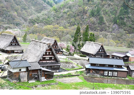 富山縣五箎山合掌造村 139075591