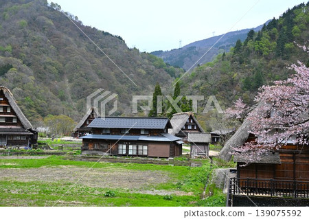 富山縣五箎山合掌造村 富山縣五箎山合掌造村 139075592