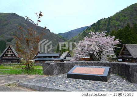 富山縣五箎山合掌造村 139075593