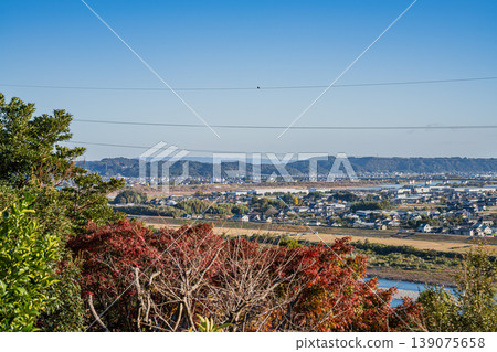 靜岡縣濱松市的秋葉與城市景觀 139075658