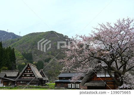Gokayama Gassho-zukuri Village, Toyama Gokayama Gassho-zukuri Village, Toyama 139075665
