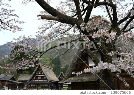 Gokayama Gassho-zukuri Village, Toyama Gokayama Gassho-zukuri Village, Toyama 139075666