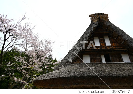 Gokayama Gassho-zukuri Village, Toyama Gokayama Gassho-zukuri Village, Toyama 139075667