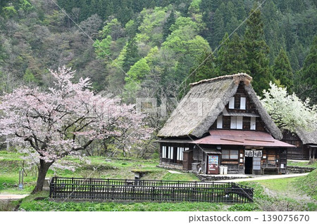 Gokayama Gassho-zukuri Village, Toyama 139075670