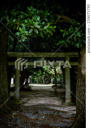 The sacred landscape of Gunsei Utaki on Ishigaki Island, where nature and faith coexist in harmony 139075795