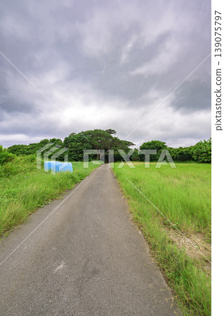 石垣島雨季的靜謐景象,陰雲密佈的天空沿著一條道路延伸。 石垣島雨季的靜謐景象,陰雲密佈的天空沿著一條道路延伸。 139075797