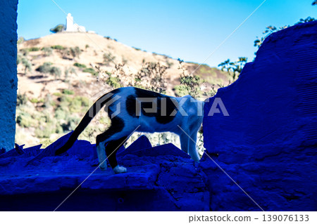 Chefchaouen is a city located in the north Morocco Chefchaouen is a city located in the north Morocco 139076133