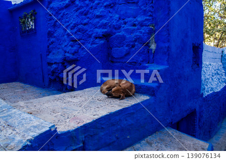 Chefchaouen is a city located in the north Morocco Chefchaouen is a city located in the north Morocco 139076134