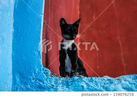 Chefchaouen is a city located in the north Morocco Chefchaouen is a city located in the north Morocco 139076258