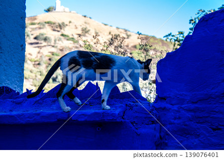 Chefchaouen is a city located in the north Morocco Chefchaouen is a city located in the north Morocco 139076401