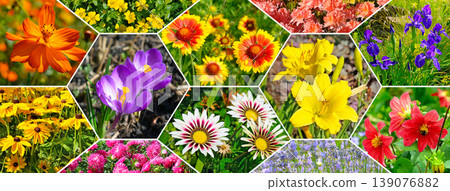 Floral Collage Background with Various Garden Flowers 139076882