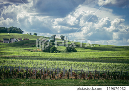 Champagne vineyards, Reims, France Champagne vineyards, Reims, France 139076982