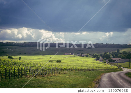 Champagne vineyards, Reims, France Champagne vineyards, Reims, France 139076988