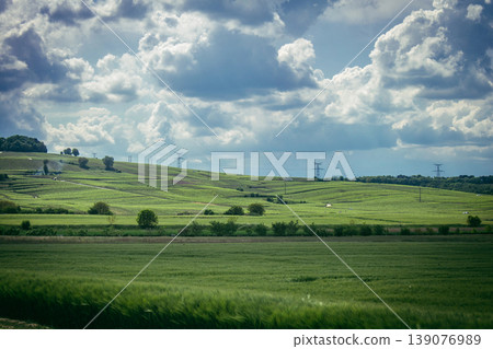 Champagne vineyards, Reims, France 139076989
