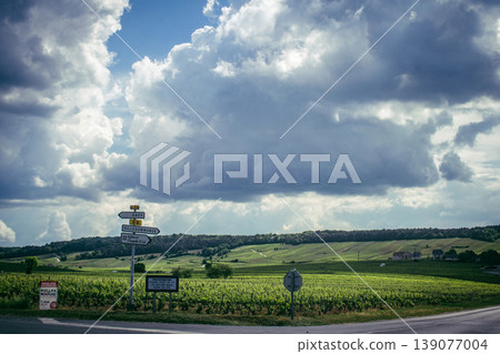 Champagne vineyards, Reims, France 139077004