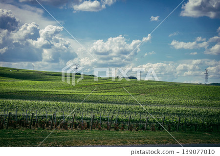 Champagne vineyards, Reims, France Champagne vineyards, Reims, France 139077010